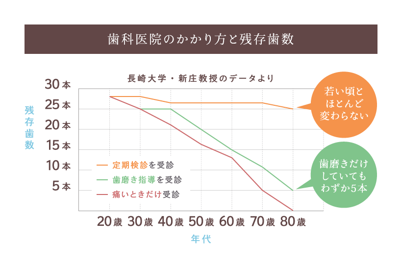 年代別 歯科医院のかかり方と残存歯数